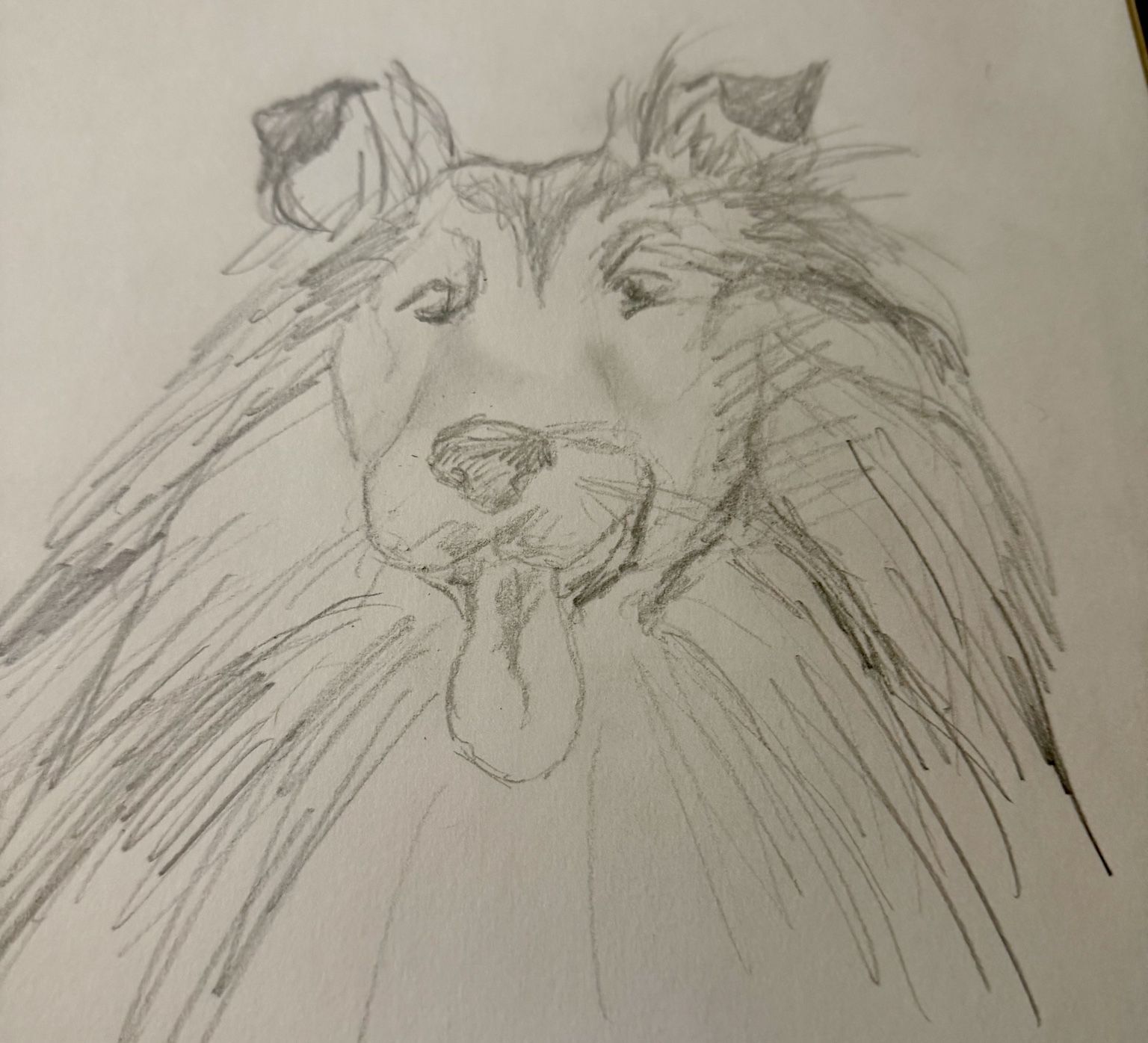 Original pet portrait